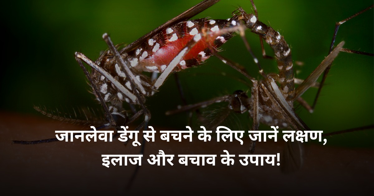 Dengue Symptoms In Hindi