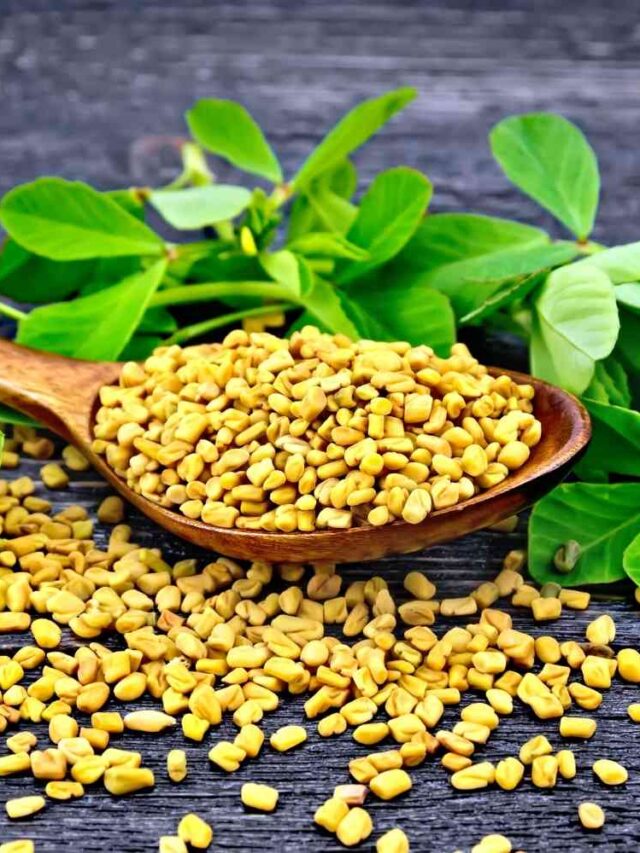 Fenugreek-Seeds-Methi